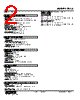 FLCS-1G-R Datasheet HTML 2Page - M-System Co.,Ltd. 