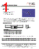 MF1303T-R18 Datasheet HTML 1Page - ECM Electronics Limited. 