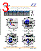 NPT1007 Datasheet HTML 3Page - M/A-COM Technology Solutions, Inc. 
