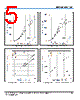DIM1000XSM33-TS001_15 Datasheet HTML 5Page - Dynex Semiconductor 
